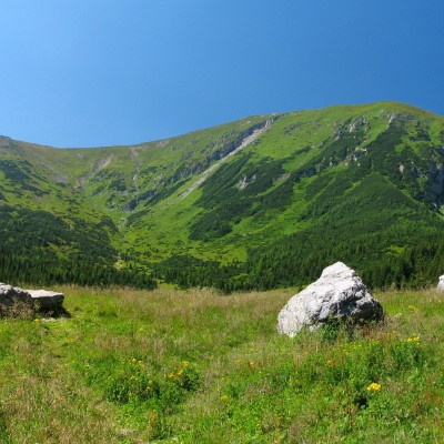 1920 x 1080 HD Wallpapers 2027